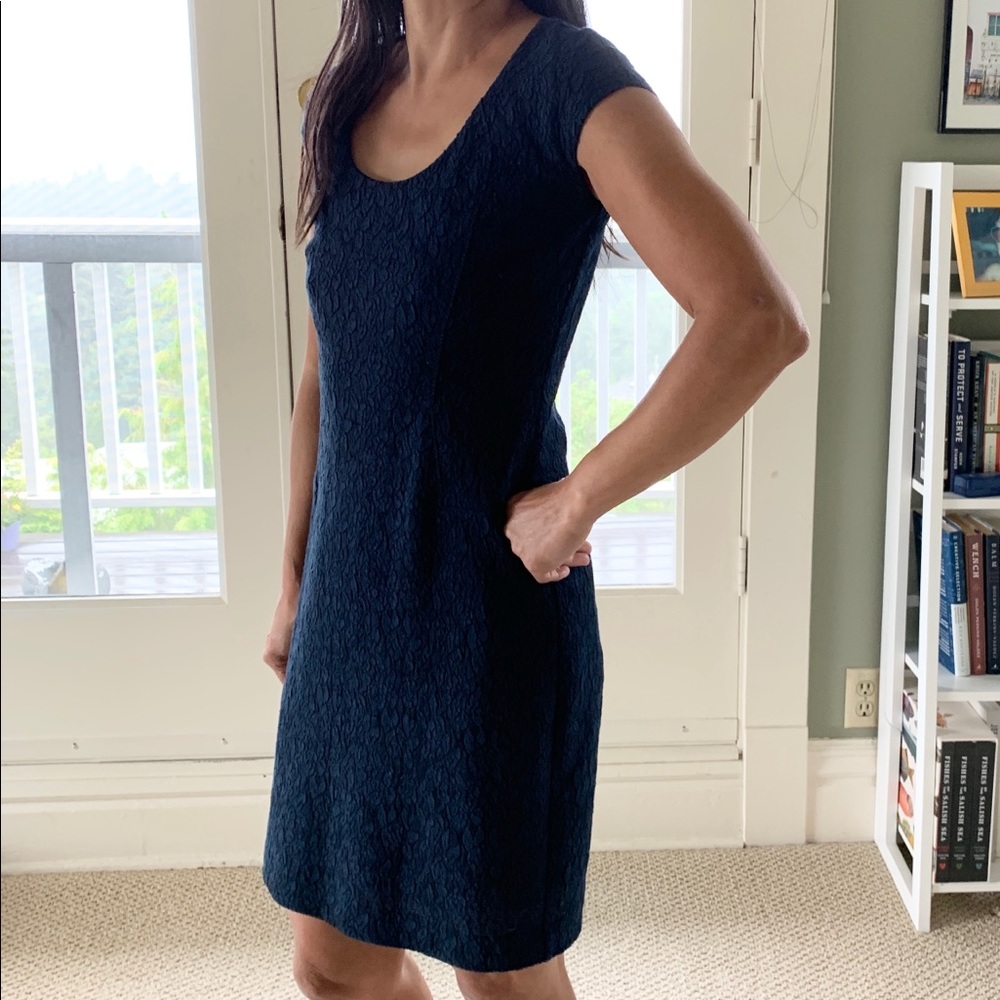 Ann Taylor Navy Lace Cap Sleeve Sheath Dress